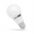 2x Żarówka LED (DWUPAK) 10W E27 biała zimna