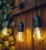 Girlanda OGRODOWA ŁAŃCUCH 10M + 10x żarówka LED 1W