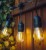 Girlanda OGRODOWA 20M + 20x żarówka LED 1W