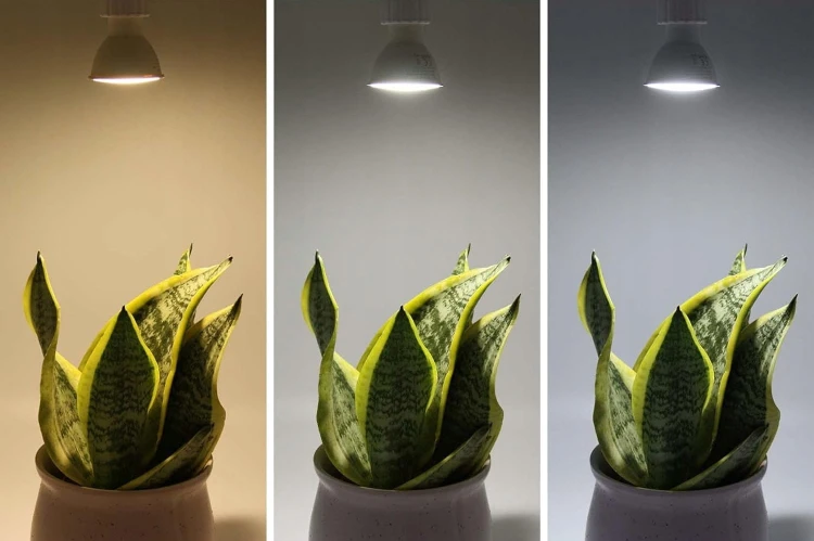 10x Żarówka LED E27 15W barwa zimna