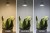 Żarówka LED GU10 10W biała zimna