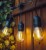 Girlanda ogrodowa  5m + 5x żarówka LED E27 zwis