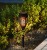 12x Lampa solarna LED FLAMI pochodnia