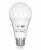 Żarówka LED E27 20W kulka biała ciepła