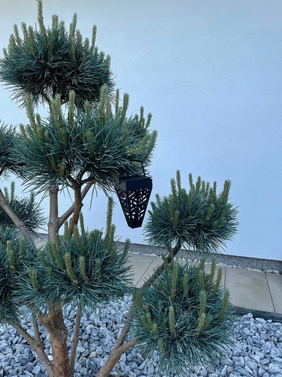 6x Lampa solarna LED Latarnia ogrodowa wbijana słupek latarenka ażurowa