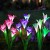 Lampa solarna LED ogrodowa wbijana KWIAT LILII LILIE SuperLED