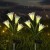 Lampa solarna LED ogrodowa wbijana KWIAT LILII LILIE SuperLED