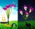Lampa solarna LED ogrodowa wbijana KWIAT LILII LILIE SuperLED