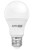 Żarówka LED E27 9,5W 1250lm biała Neutralna