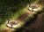 Zestaw 4x Lampa solarna LED wbijana gruntowa ogrodowa Dysk SuperLED PREMIUM
