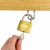 KŁÓDKA WODOODPORNA ŻELIWNA SAMOZATRZASKOWA 3 KLUCZYKI