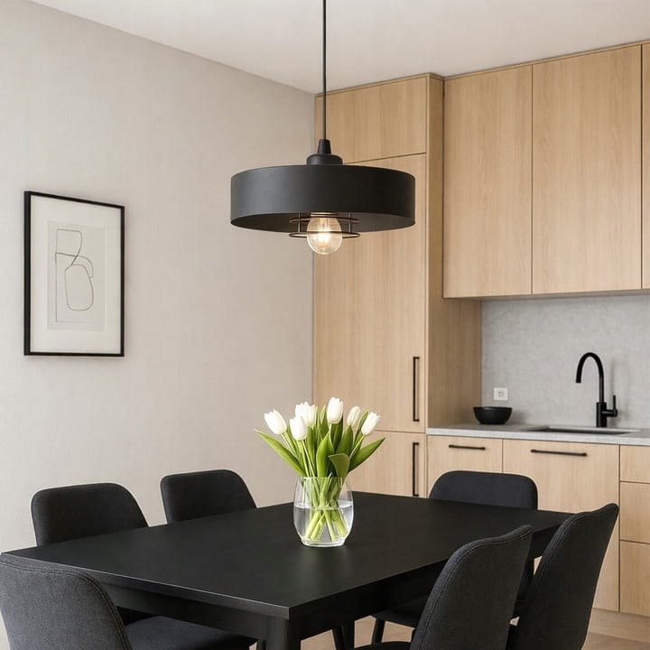 Lampa sufitowa Sisu Black1x E27 SuperLED