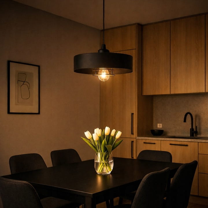 Lampa sufitowa Sisu Black1x E27 SuperLED