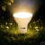 Zarowka-LED-GU10-10W-1000lm-CCD-MOCNA-NIEMRUGAJACA-PREMIUM-BIALA-NEUTRALNA-Barwa-swiatla-bialy-neutralny (1).jpeg