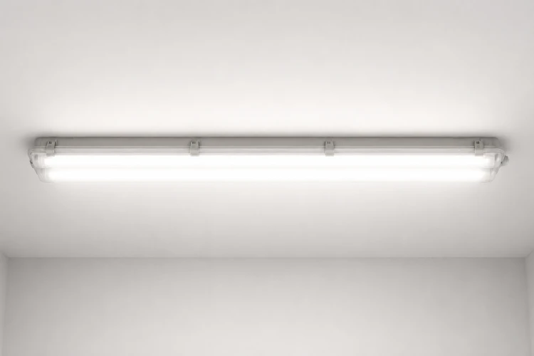 b8f3cf06-54ac-42d2-b8da-0e03d8e66ab7.png