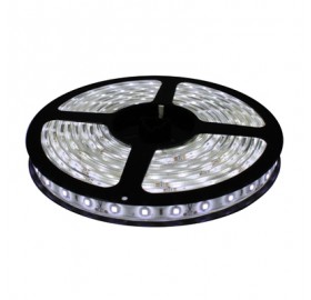 Taśma 150 LED 3528 IP65 12V 12W biała zimna